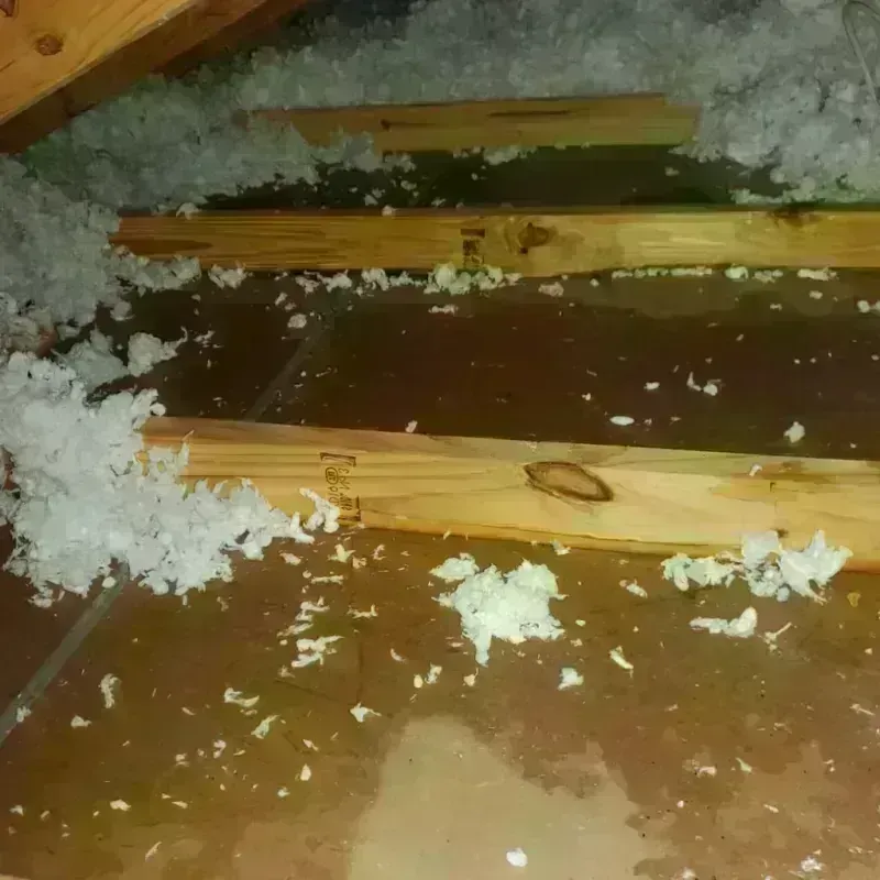 Attic Water Damage in Mechanicsville, VA